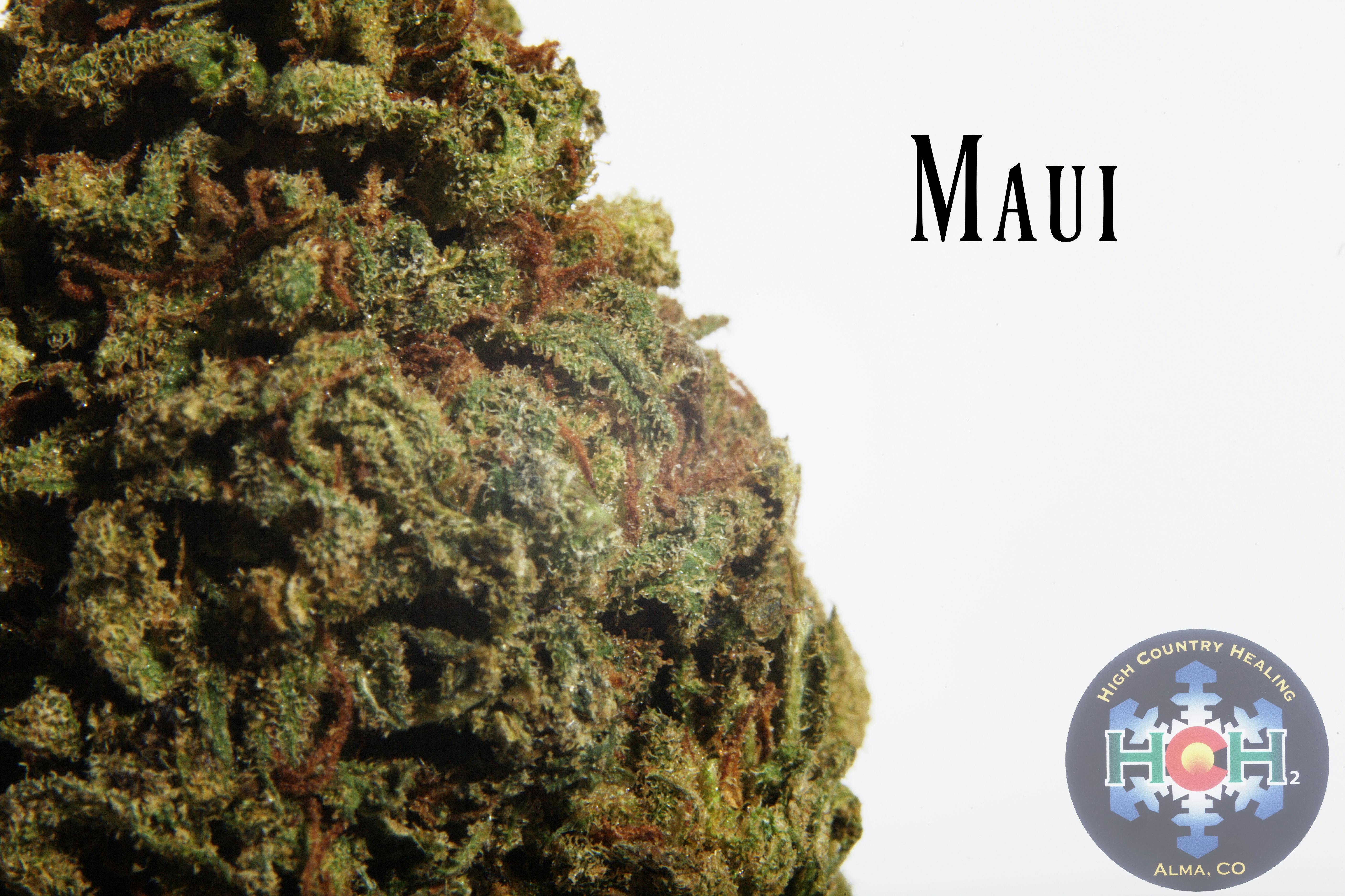 Maui (Outdoor)