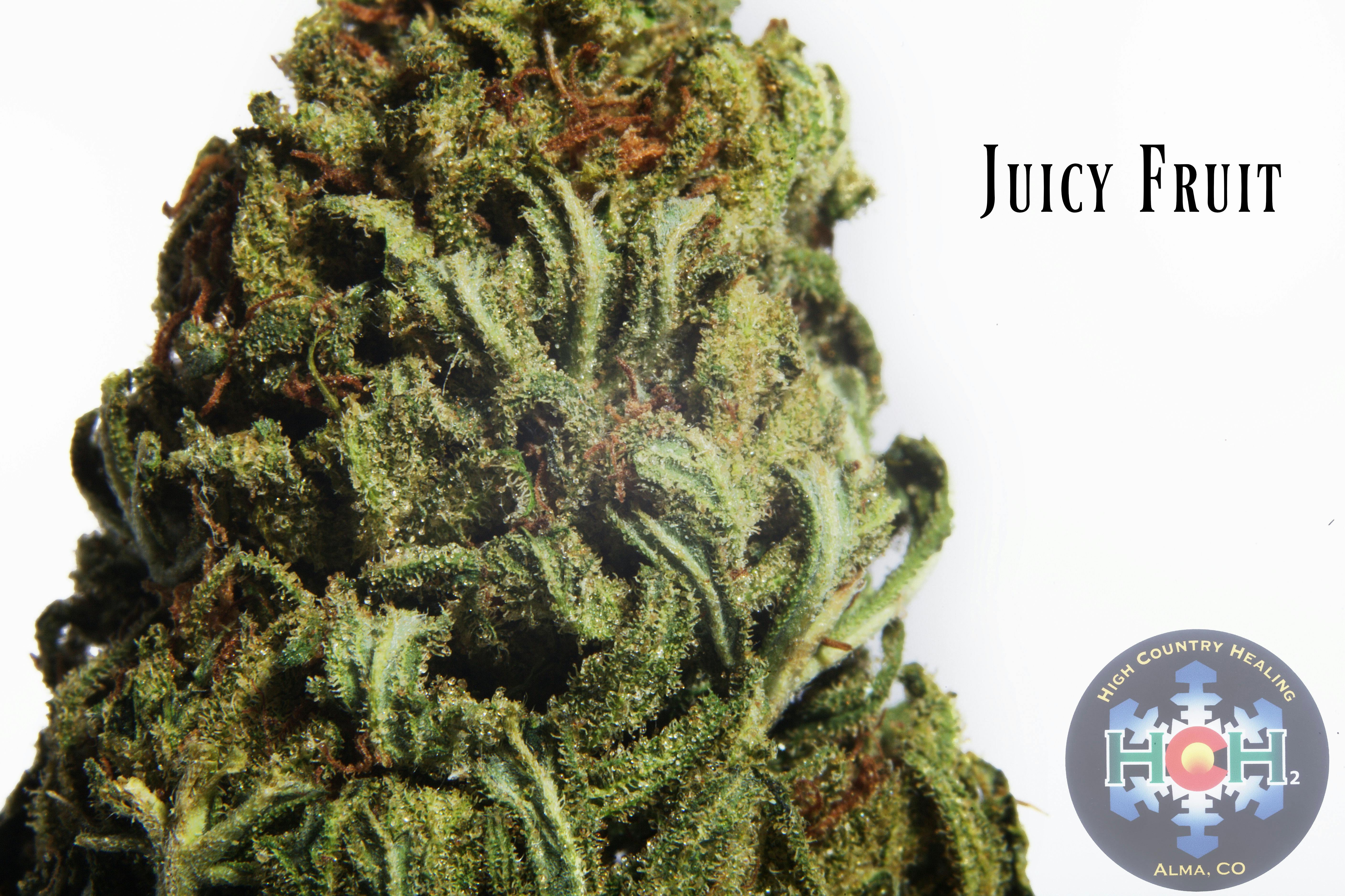Juicy Fruit (Outdoor)
