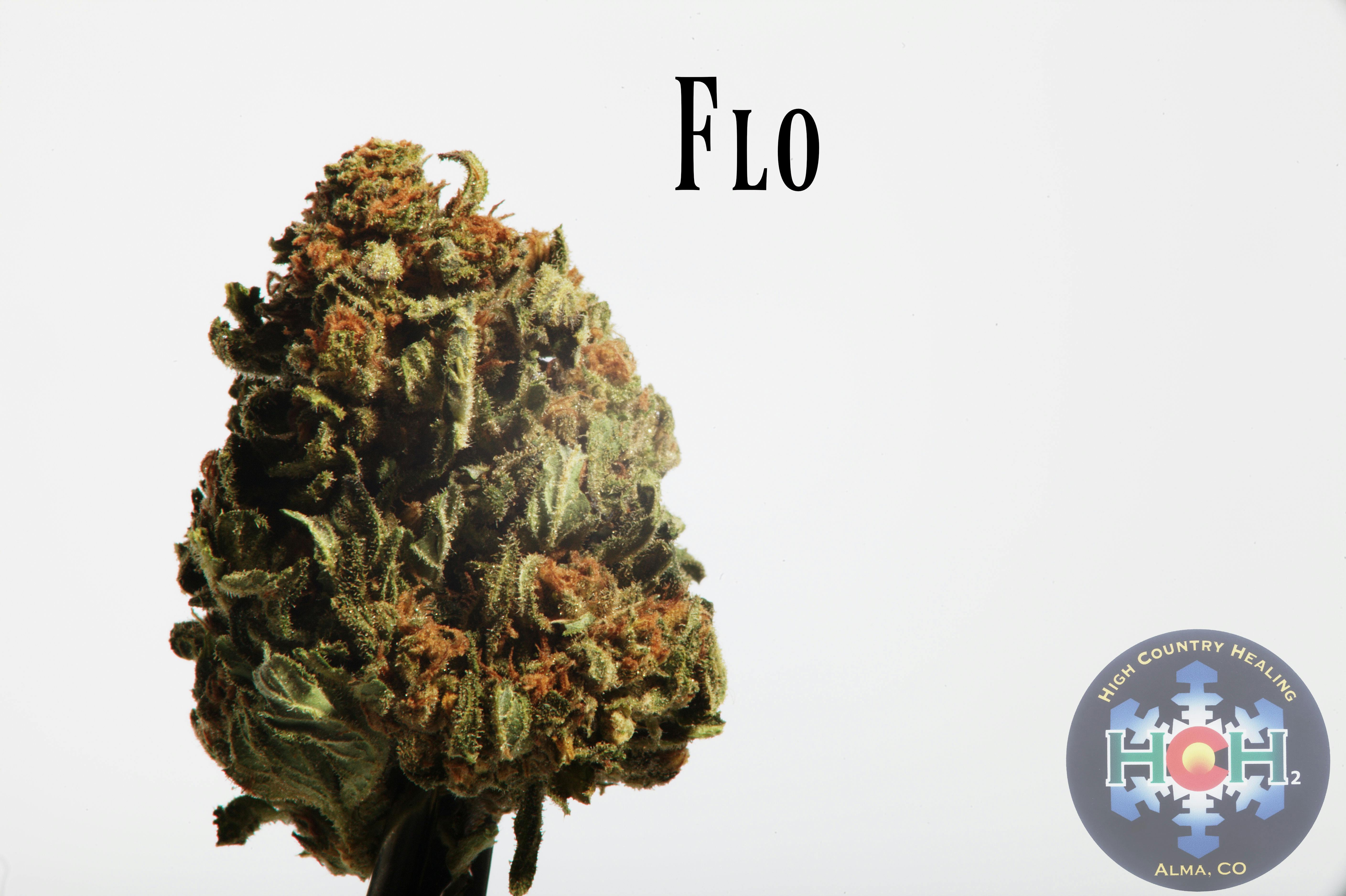 Flo (Outdoor)