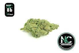 Nature's Chemistry 8" Bagel (H) Flower
