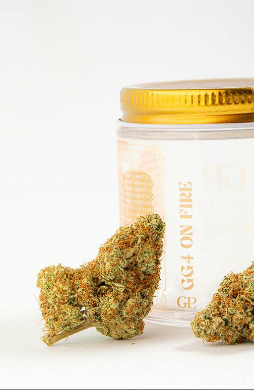GLP GG4 On Fire (H) Flower