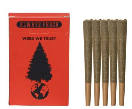 Apple Sherbet [S] | 5g (5pk) Non-Infused Pre-Rolls | Big Tree