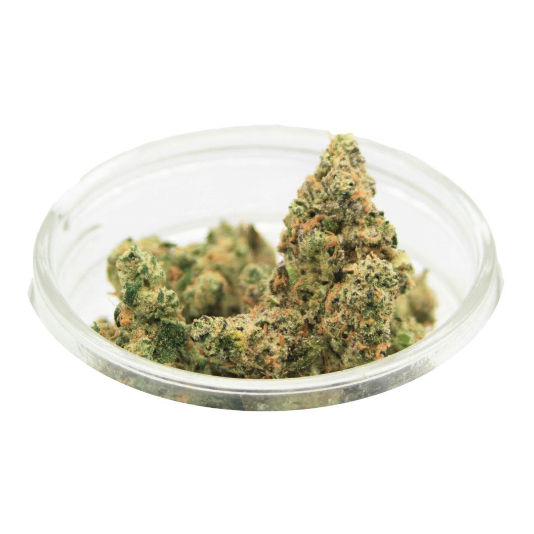 Society C | Spritzer Bulk