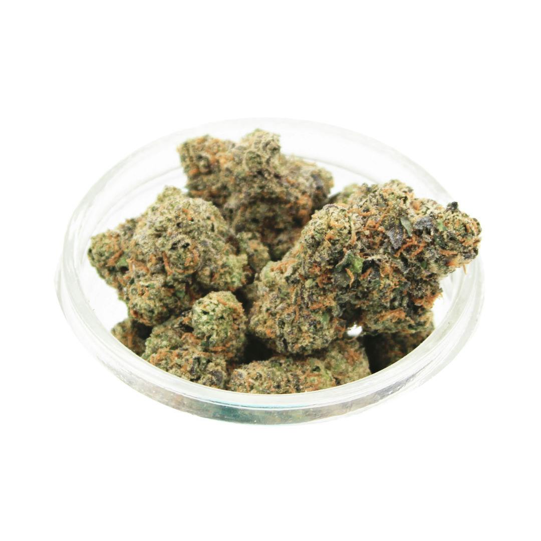 Gastro Pop Bulk Flower