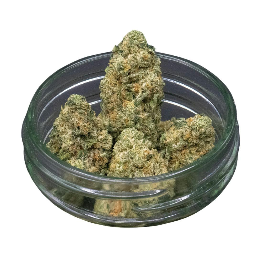 Common Citizen | Puffo Gelato Bulk Flower