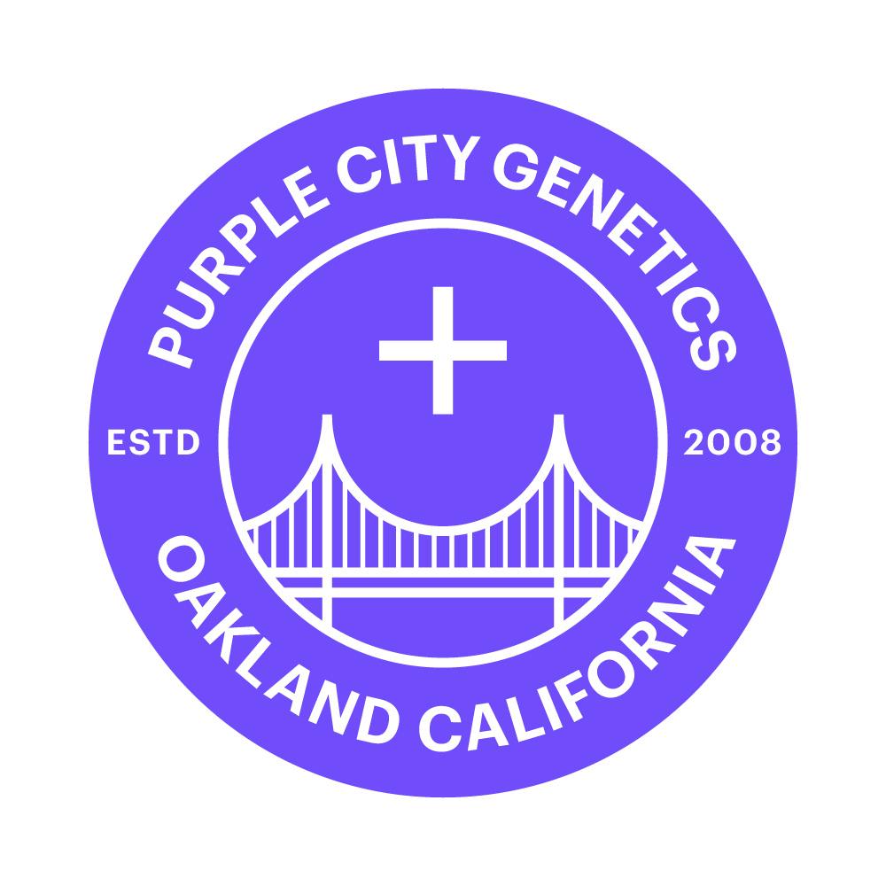 Purple City Genetics Congo '87 Seed 3pk (Feminized) PD