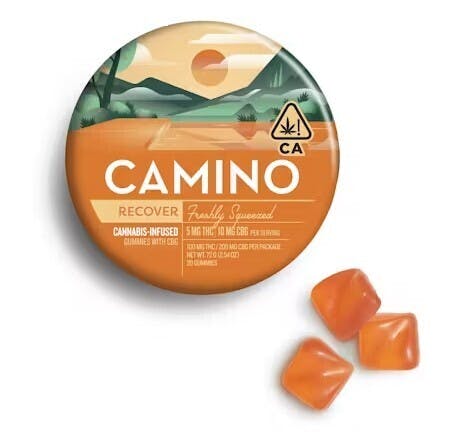 CAMINO: Freshly Squeezed - :2