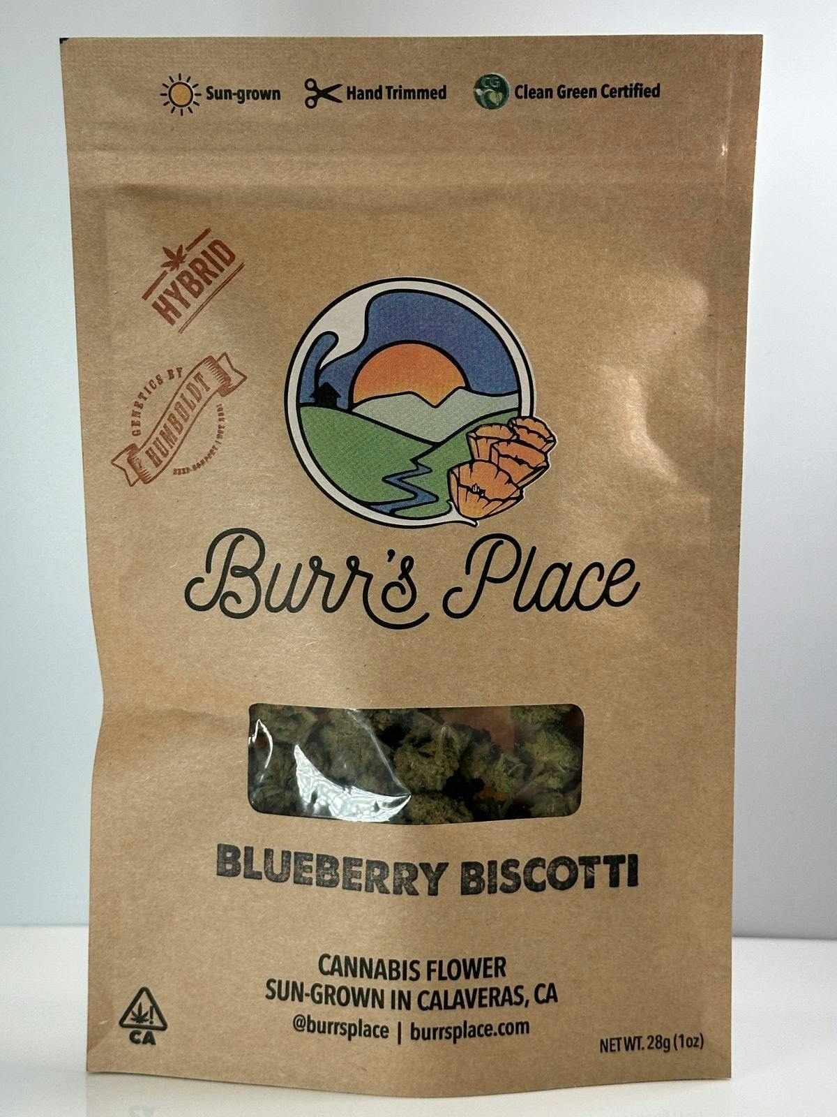 Burr's Place: Blueberry Biscotti