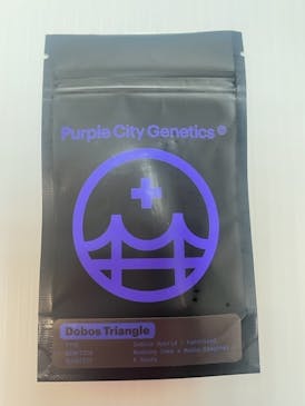 Purple City Dobos Triangle Feminized Seeds 6pk