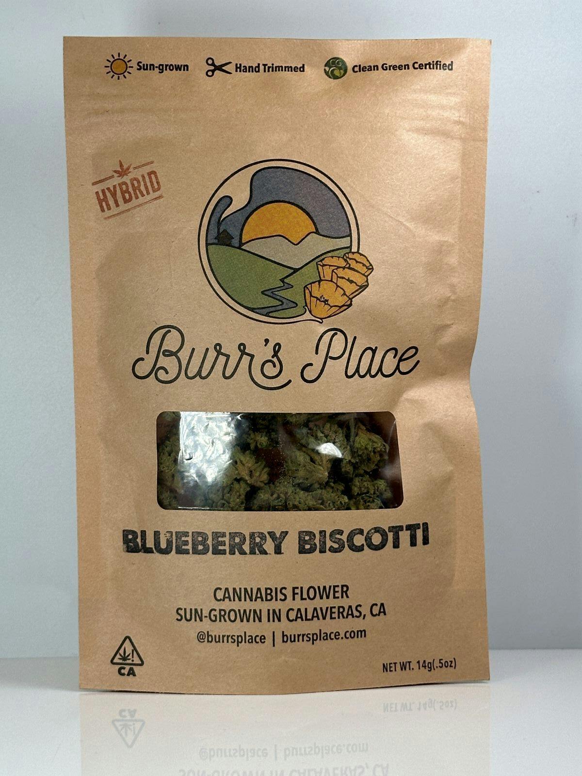 Burr's Place: Blueberry Biscotti Pd