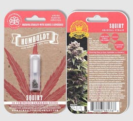 Humboldt Seed Company Squirt FEMINIZED Seeds 10pk ND
