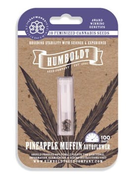 Humboldt Seed Company Pineapple Muffin AUTOFLOWER FEM Seeds 10pk ND
