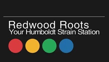 Redwood Roots: Velvet Certz Pd