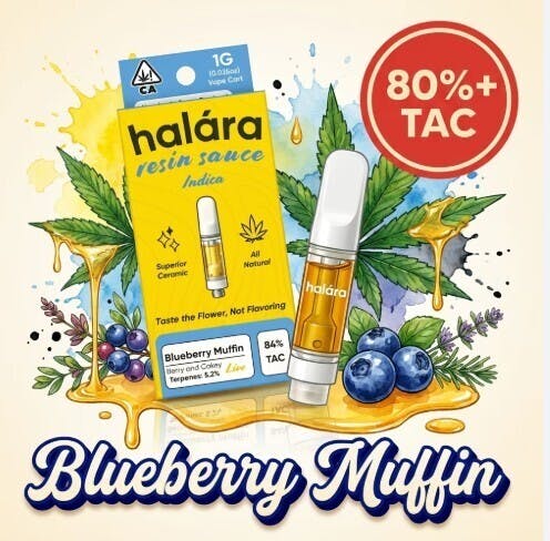 Halara: Blueberry Muffin