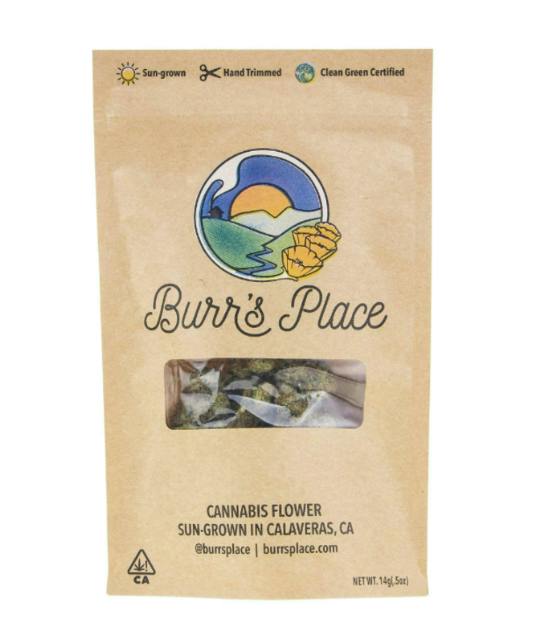 Burr's Place: Gazzurple Pd