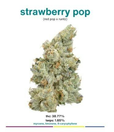 Moca Strawberry Pop 1/8 38%