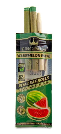 Mini Watermelon Wave (2 Pack)