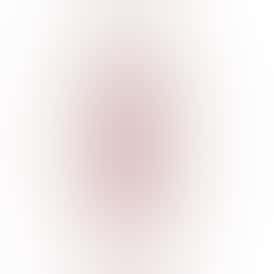 BIC LIGHTER (ASSORTED COLORS)