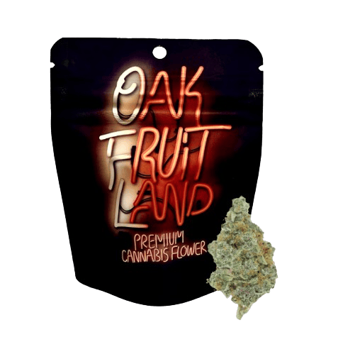 ORANGE CREAMSICLE