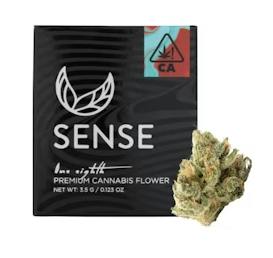 SENSE- SOUR DIESEL