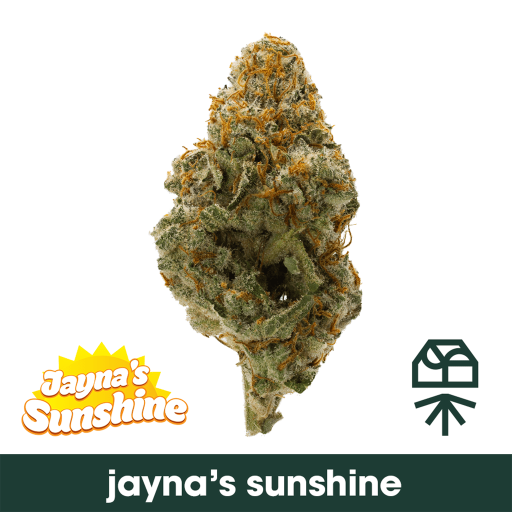 Jaynas Sunshine Whole