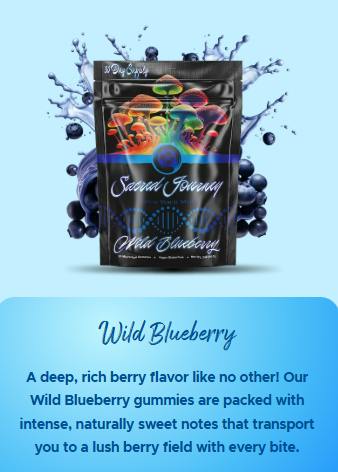 Sacred Journey Mushroom - Microdose Gummies - Wild Blueberry