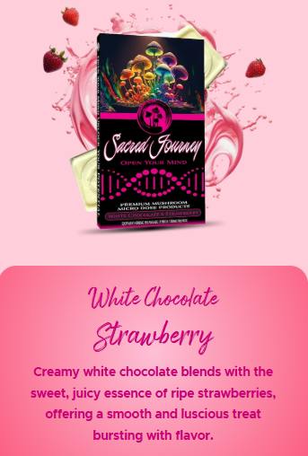 Sacred Journey Mushroom - White Chocolate Strawberry