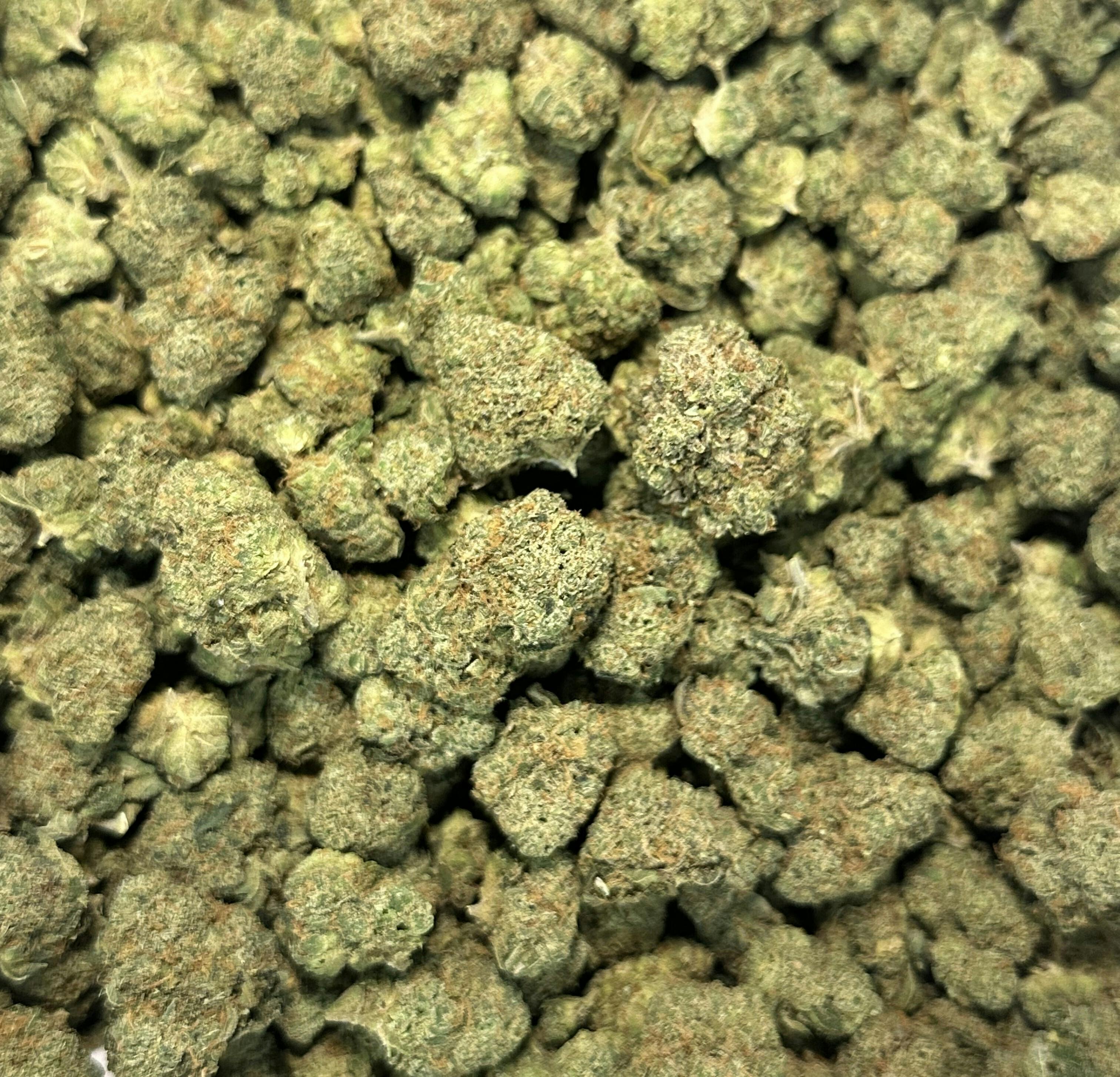605 - Killsberry - Hybrid Indica