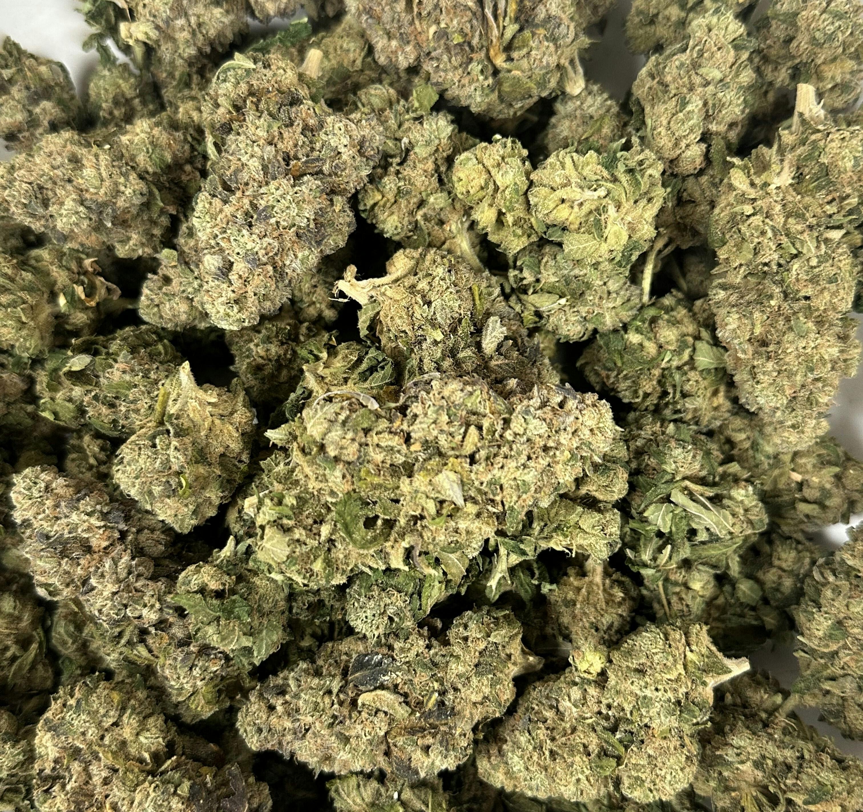 605 - Fire OG x Kosher Kitty - Hybrid Indica