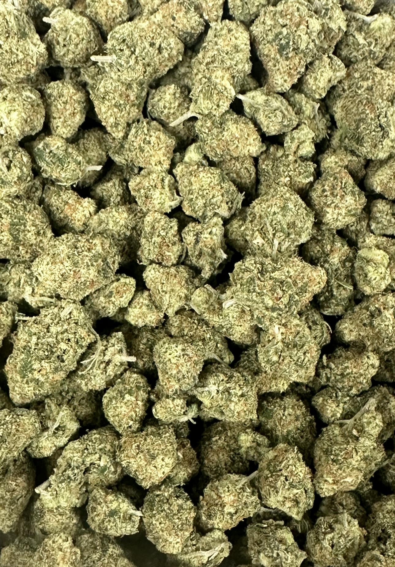 Twisted Greens - Glueball - Hybrid Indica