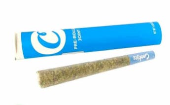 Cookies x TGC - Vienna - Joint