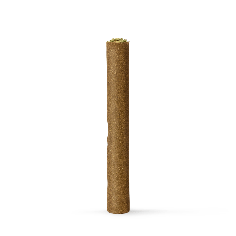 Cookies - Con Leche - Indoor - Blunt