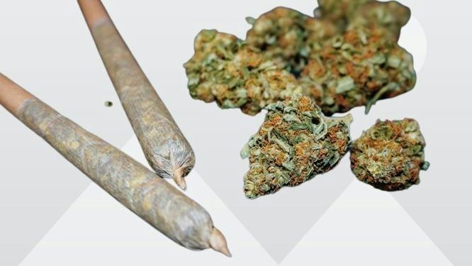 JET FUEL - PREROLL