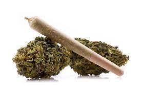28PACK PREROLL -VARIETY PACK