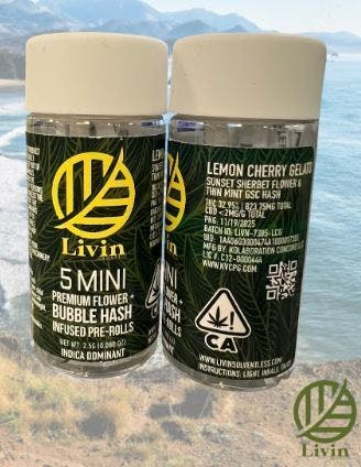 5PK — Lemon Cherry Gelato
