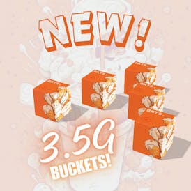 BKTS (BUCKETS) Badder - Gruntz (H)