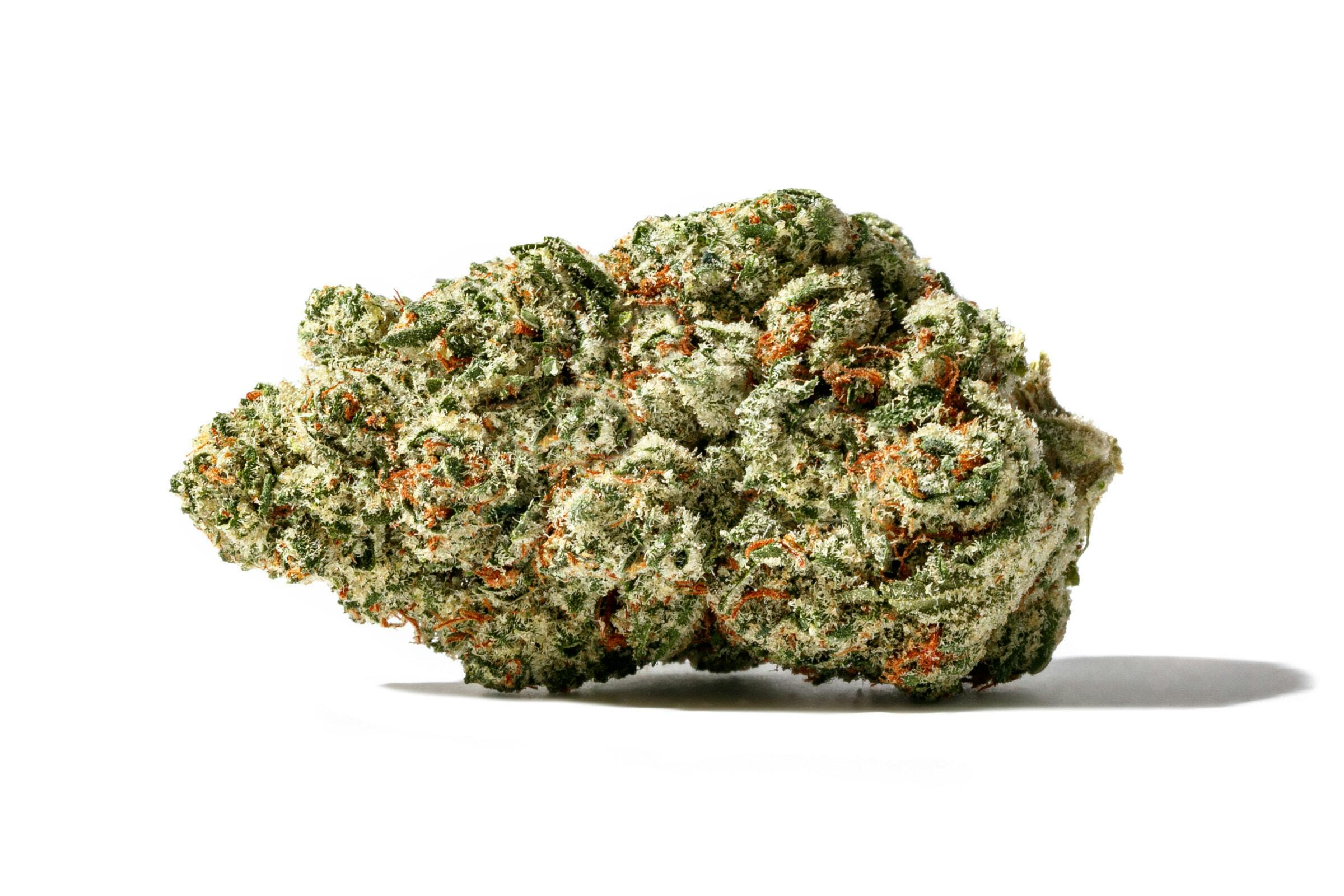 Fraser Valley - D. Burger 28g - Indica