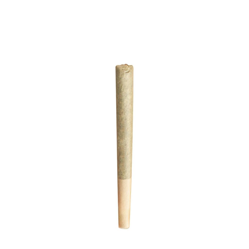 Rainbow Harbor - Pre-Roll - 0.5g, 1ct at Surterra Wellness - Medical Marijuana Dispensary | Merritt Island