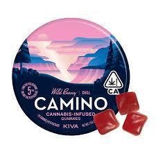 Camino - Gummies - Wild Berry