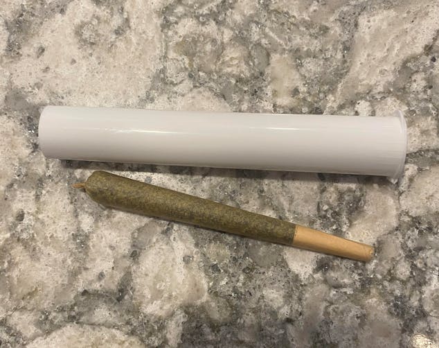 Permanent Chimera (H)