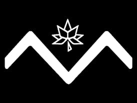 Del Mundo | 1g Pre Roll - God's Gift