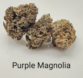 Del Mundo | Flower - Purple Magnolia