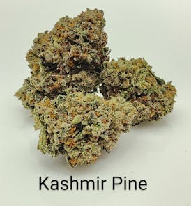 Del Mundo | Popcorn - Kashmir Pine 7G