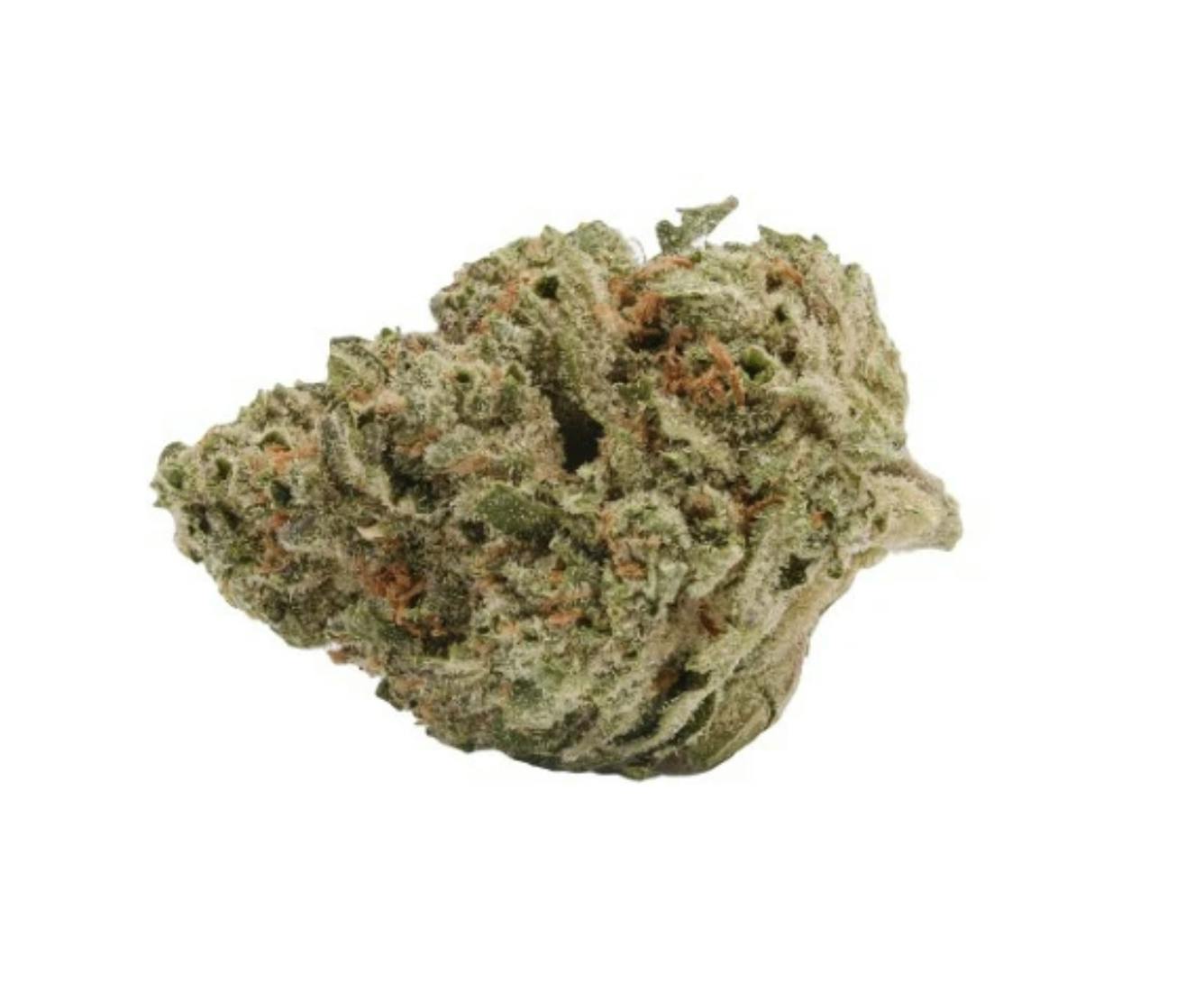 Back Forty : Liquid Imagination - 28g