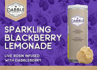 Dabble : Live Rosin Blackberry Lemonade Drink - 10mg