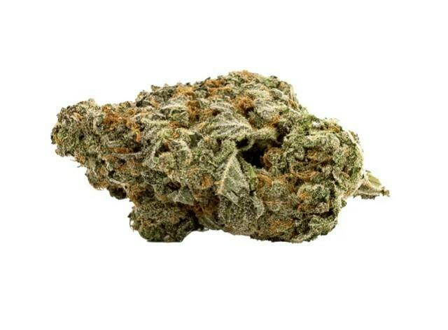 Qwest : White Walker - 7g