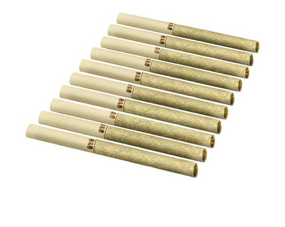 Back Forty : Backpackers Golden Tangie Pre-Rolls - 10 x 0.75g
