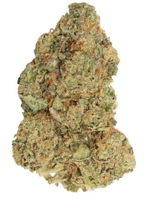 Carmel : M.Tai X Jungle Cake - 3.5g
