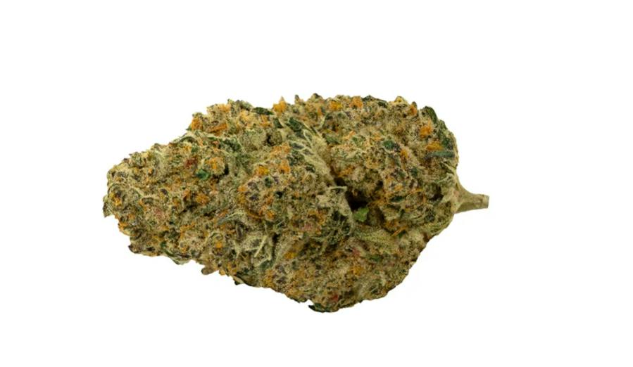 Pure Sunfarms : Cherry Tang - 3.5G