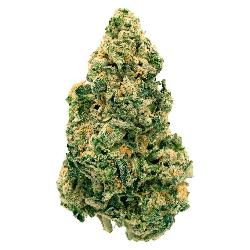Back Forty : Galactic Jack - 28g